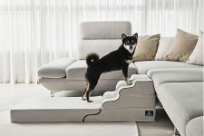 반려동물 브랜드 펫티뉴, 이지 클라임 스텝스 와디즈 펀딩 오픈 예정