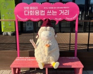 경기도 1회용품 없는 경기특화지구 5→6곳 확대