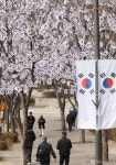 하루 앞으로 다가온 3·1절