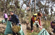 안산시의회, 구룡공원 명품 둘레길 편백나무 숲길 식재 행사 참석