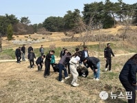 임실군-농촌진흥청 왕겨 충진형 땅속 배수 기술 논콩 재배 안정화