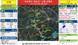 의성산불 확산…경북 북동부권 5개 시·군 초토화
