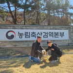 은퇴 검역탐지견 국화 새 가족 만난다…사지말고 입양하세요