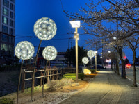 동해시, 도심 야간 보행환경 개선 착수