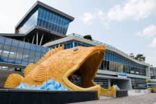 묵은 때 벗은 황금 쏘가리...단양군 조형물 새 단장