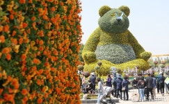 1억 송이 꽃의 향연 고양국제꽃박람회