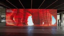 이지위드, 3000만 건 데이터 기반 예술 Data Panorama 공개