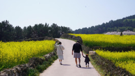 농식품부, 5월의 K-아그로 헤리티지 청산도 선정