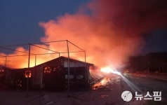 평택 산란계 농장 화재...계사 전소·닭 7000마리 폐사