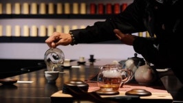 제주 와일드오차드 티 페스티벌서 만나는 특별한 티코스