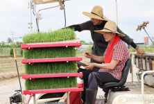 김문수 대선 후보, 고양시 청년농업인 모내기
