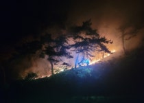한밤중 천안 동남구서 산불 발생…31분 만에 진화