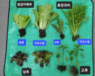 Naver 搜索结果照片 4