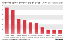 [GAM] ②수주간 랠리 이어간 이 종목, 포착된 A주 투자트렌드