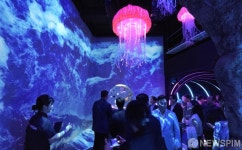 신규 테마존 ‘Sea at Night’ 선보인 씨라이프 코엑스 아쿠아리움