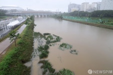 집중호우로 수위 상승한 안양천