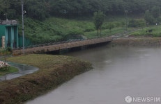 수위 상승한 안양천