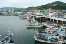 동해시, 묵호 횟집단지 해수인입관 정비사업 8월 재착공