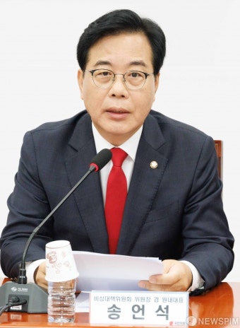 발언나선 송언석 비대위원장