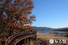 청주시, 대청호반 국가생태탐방로 조성...2027년 말 완공 목표