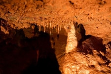 한여름 최고 피서지 천곡황금박쥐동굴…도심 한복판서 만나는 지질의 경이