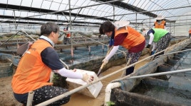 과천시, 가평군 수해복구 자원봉사활동