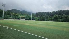 원주 혁신축구장 인조잔디 충진제 논란...예산 낭비와 안전성 우려