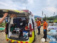 연천군 도신리 밭에서 벌쏘임 사고...제초 작업자 7명 부상