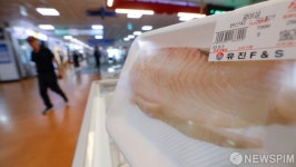 고수온에 가격 뛴 광어·우럭