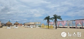 [로컬이 기회다] 양양 서피비치 박준규 대표 로컬은 창업의 실험실