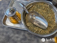 [녹색밥상] ② 미꾸라지와 연근이 만나다…저탄소 농법 실천하는 농가의 도전
