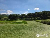 [녹색밥상] ② 미꾸라지와 연근이 만나다…저탄소 농법 실천하는 농가의 도전