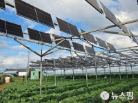 송미령 장관 영농형태양광 재생에너지지구만 허용…농업인 이익 내재화