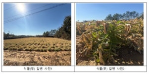 일주일새 화학사고 2회…진양에너지 영업정지 5일 예고