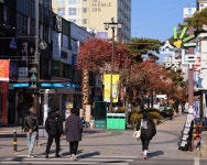 청주 소나무길 상권 활성화 본격 추진