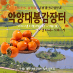 하동군, 악양면서 대봉감 직거래 장터 운영
