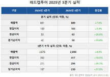 레드캡투어, '역대 3분기 최대 실적' 영업익 103억원…전년비 3.4%↑