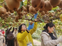 경남도, 부산 소비자 초청 농산물 수확·가공체험 행사