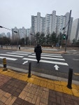 운정신도시 교통 특성 반영 신호체계 개선 적용