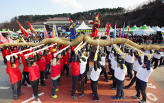 350년 전통 삼척 기줄다리기…게 다리 닮은 줄에 풍년·풍어를 묶다