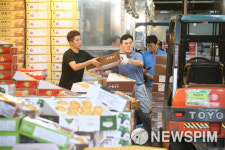 [도매의 진화] ① 농산물 유통의 진화…새벽 경매에서 온라인 거래로
