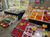 미정회참치도매수산 | [도매의 진화] ② 50년 앞을 내다본 日 토요스 시장…韓이 얻을 교훈점은(르포)