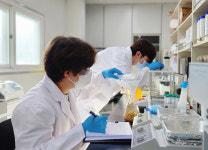 엠디에스코리아, 비건 프라이드 치킨 특허 출원