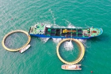 中 산둥성 옌타이 해양 목장, 바다 갈이 해양 농사 한창