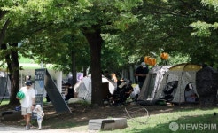 폭염 속 명당은 나무 그늘