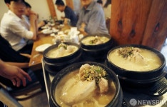 오늘은 초복 삼계탕 먹는날