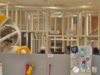 70도 놀이터·비싼 키즈카페…폭염에 갈 곳 잃은 아이들