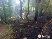 울진 고목리 야산서 산불 20여분만에 진화...인명피해 없어