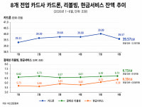 카드론 막히자 리볼빙 3개월째 증가…취약차주 '빚폭탄' 경고등