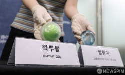 서울시, 말랑이·왁뿌볼 등 일부 제품서 유해물질 발견